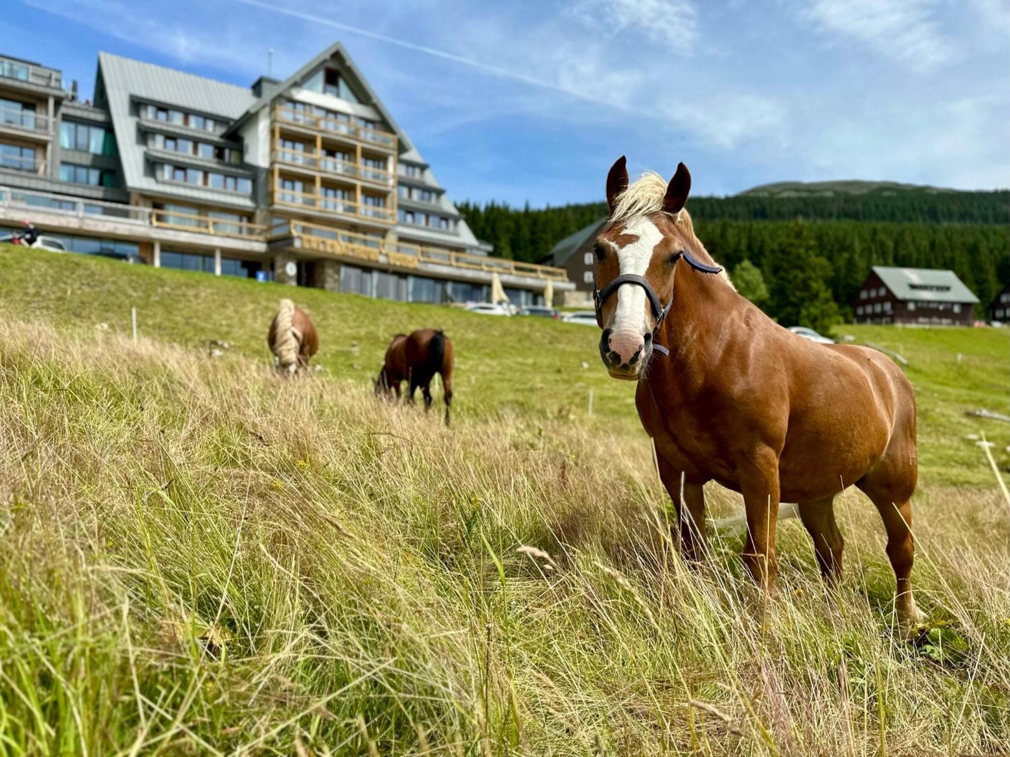 Erlebachova Bouda, Hotel - Resort Svaty Frantisek Szpindlerowy Młyn Zewnętrze zdjęcie